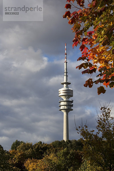 Deutschland  Bayern  München  Olympiaturm im Herbst
