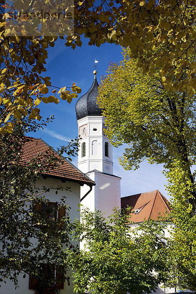 Deutschland  Oberbayern  Iffeldorf  St. Veitskirche