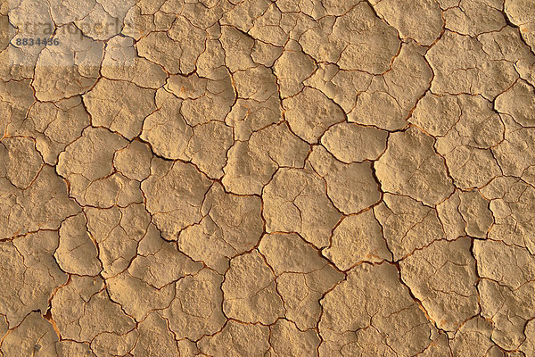 Algeria  Tassili n Ajjer  Sahara  broken surface of a salt and clay pan