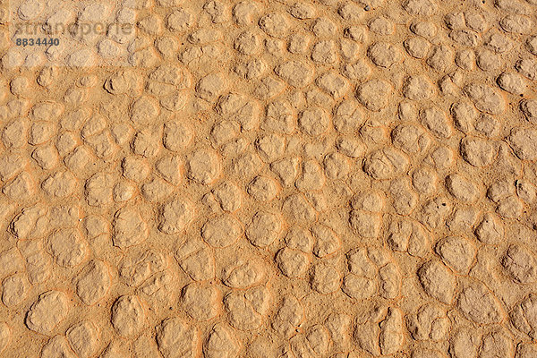 Algeria  Tassili n Ajjer  Sahara  surface of a salt and clay pan  close-up