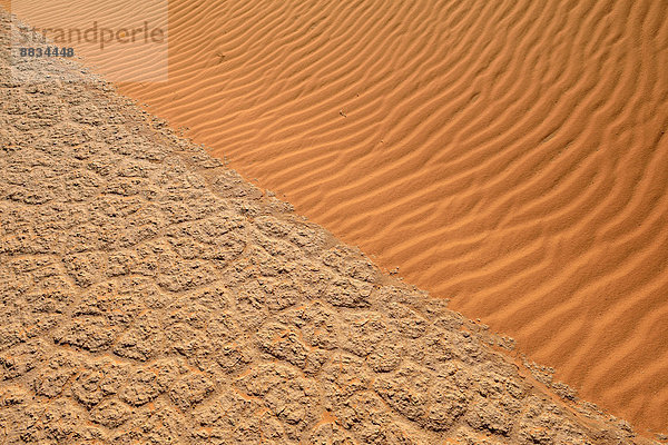 Algerien  Tassili n Ajjer  Sahara  Salz- und Tonpfanne trifft Sanddüne