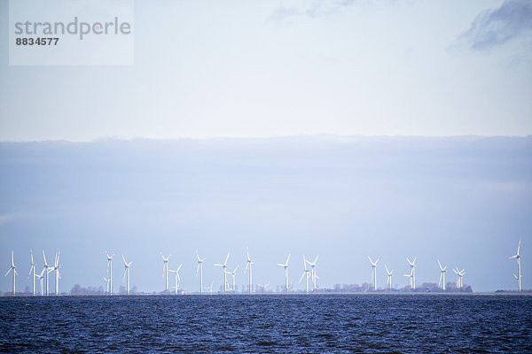 Deutschland  Windpark an der Nordsee
