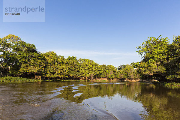 Brasilien  Mato Grosso do Sul  Pantanal  Cuiaba Fluss