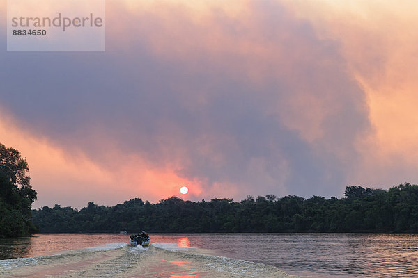 Brasilien  Mato Grosso do Sul  Pantanal  Cuiaba River  Waldbrand bei Sonnenuntergang