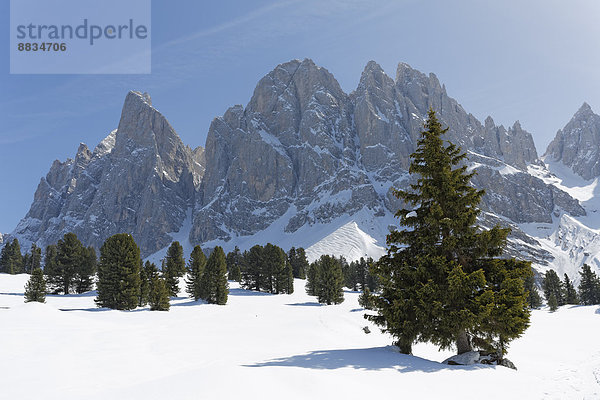 Italien  Südtirol  Villnösser Tal  Geisler Alm unterhalb Sass Rigais