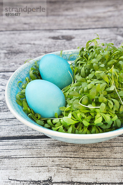 Schale mit Gartenkressesalat mit zwei blauen Eatser-Eiern auf grauem Holztisch