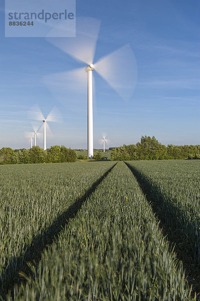 Deutschland  Schleswig-Holstein  Windenergieanlagen im Feld