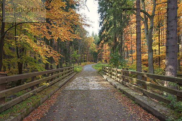 Deutschland  Sachsen-Anhalt  Nationalpark Harz im Herbst