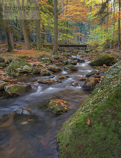 Deutschland  Sachsen-Anhalt  Nationalpark Harz im Herbst
