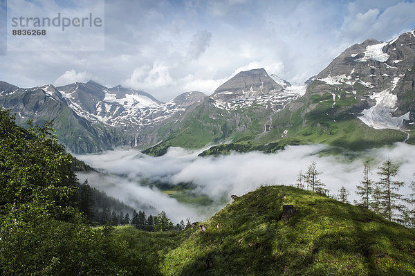 Österreich  Salzburg  Österreichische Alpen  Nationalpark Hohe Tauern