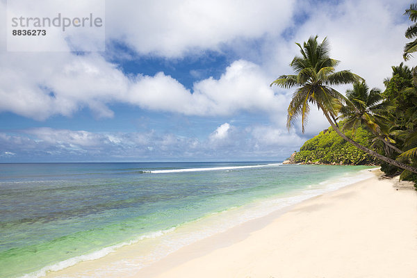 Seychellen  Insel Mahe  Blick zum Strand