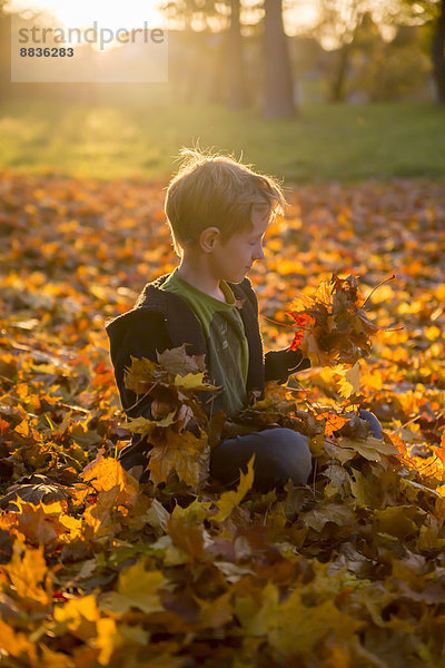 Kleiner Junge sitzt auf Herbstblättern im Park