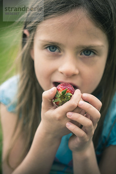 Porträt eines kleinen Mädchens beim Erdbeeressen