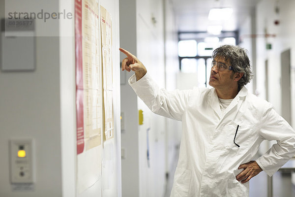 Deutschland  Freiburg  Wissenschaftler im Laborkorridor