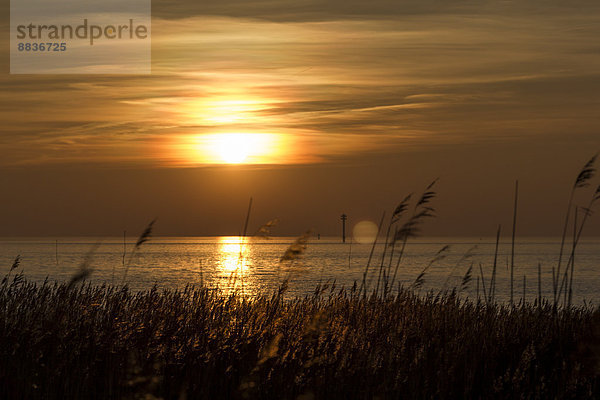 Deutschland  Niedersachsen  Wremen  Nordsee  Sonnenuntergang über der Nordsee