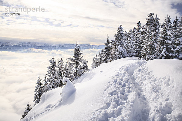 Österreich  Schneeberg bei Kufstein in den Alpen