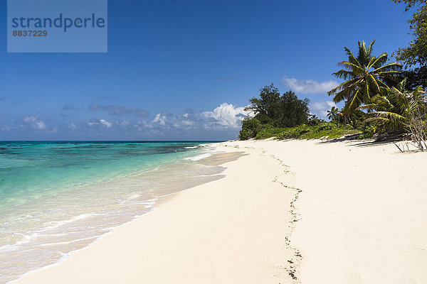 Seychellen  Nordkorallengruppe  Denis Island  Strand