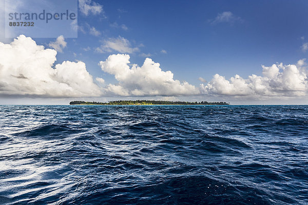 Seychellen  Nordkorallengruppe  Denis Island