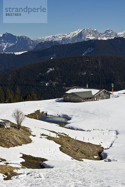 Deutschland  Bayern  Blick von der Moeseralm  Steinplatte auf die Alpen