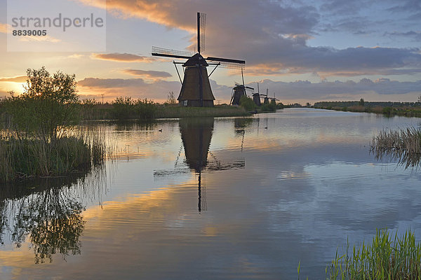 Historische Windmühlen  UNESCO Weltkulturerbe  Kinderdijk  Provinz Südholland  Niederlande