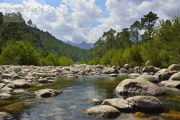 Flussbett der Solenzara auf die Aiguilles de Bavella  Korsika  Frankreich