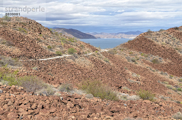 Küstenlandschaft bei Mulege  Highway 1  Bahia Concepcion  Baja California  Mexiko