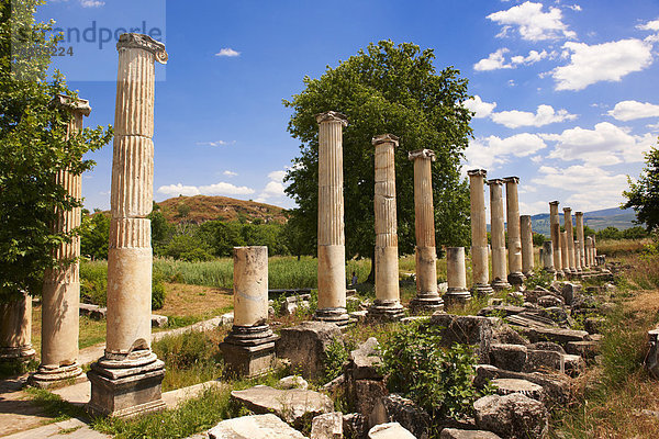 Säulen der südlichen römischen Agora  Ausgrabungsstätte Aphrodisias  Provinz Aydin  Türkei