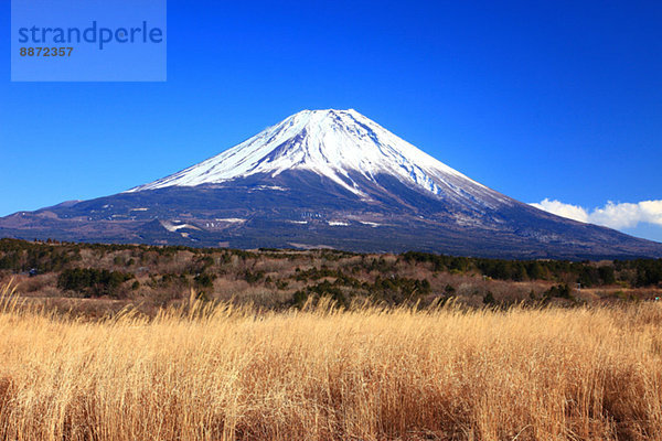 Japan  Shizuoka Präfektur