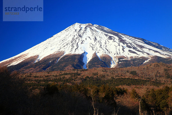 Japan  Shizuoka Präfektur