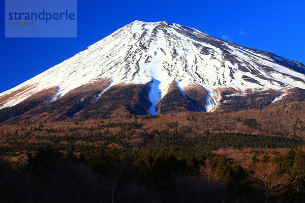 Japan  Shizuoka Präfektur