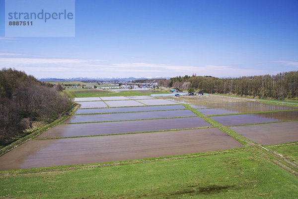 Hokkaido  Japan