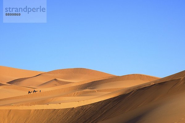 Nordafrika  Afrika  Merzouga  Marokko