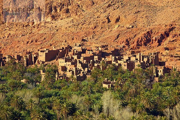 Nordafrika  Fernverkehrsstraße  Schlucht  Afrika  Marokko  Oase