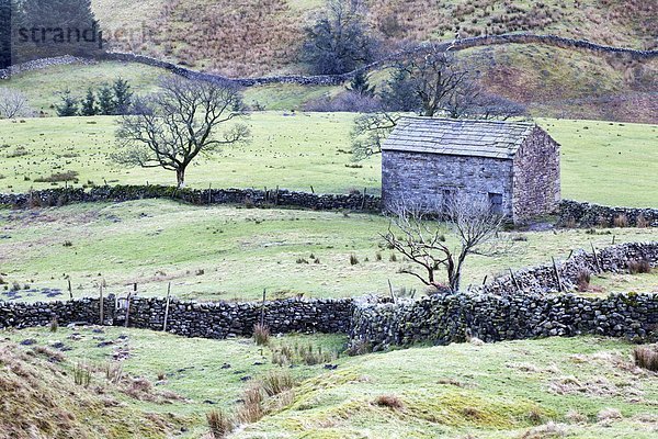 Steinmauer  Europa  Großbritannien  trocken  Feld  Scheune  Cumbria  England