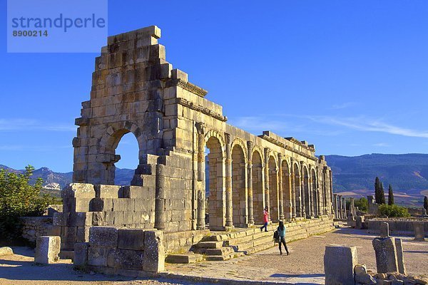 Nordafrika  UNESCO-Welterbe  Afrika  Marokko  Volubilis