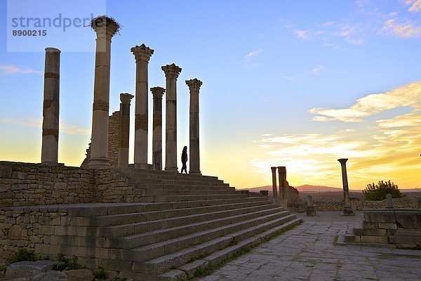 Nordafrika  UNESCO-Welterbe  Afrika  Marokko  Volubilis