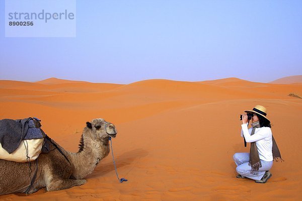 Nordafrika  Afrika  Merzouga  Marokko