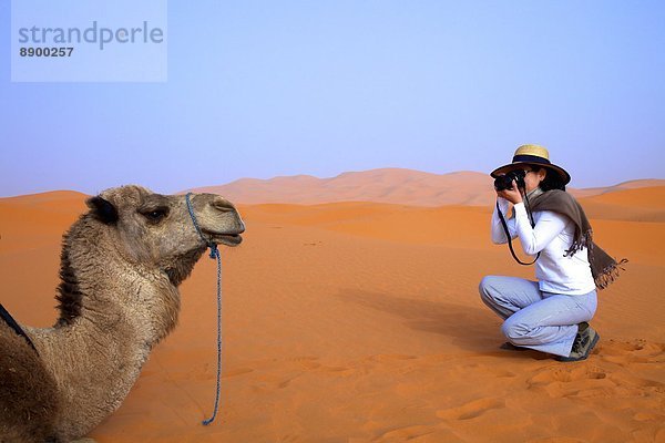 Nordafrika  Afrika  Merzouga  Marokko