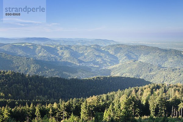 Europa  Berg  über  Tal  Wald  schwarz  Süden  Ansicht  Deutschland  Hornisgrinde