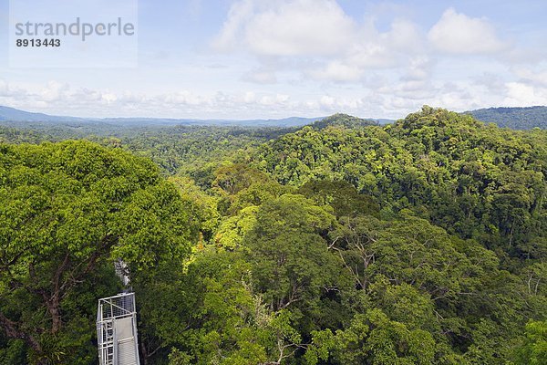 Südostasien  Asien  Borneo  Brunei