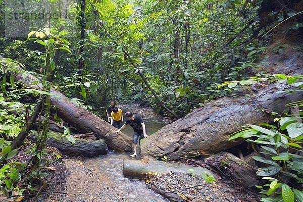 Südostasien  Asien  Borneo  Brunei