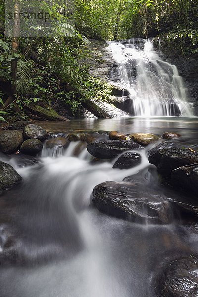 Südostasien  Asien  Borneo  Brunei