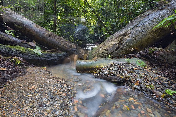 Südostasien  Asien  Borneo  Brunei