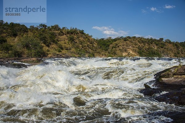 Ostafrika  fallen  fallend  fällt  Afrika  Uganda