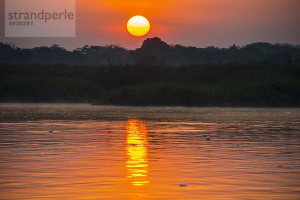 Ostafrika  fallen  fallend  fällt  über  Sonnenaufgang  Afrika  Uganda