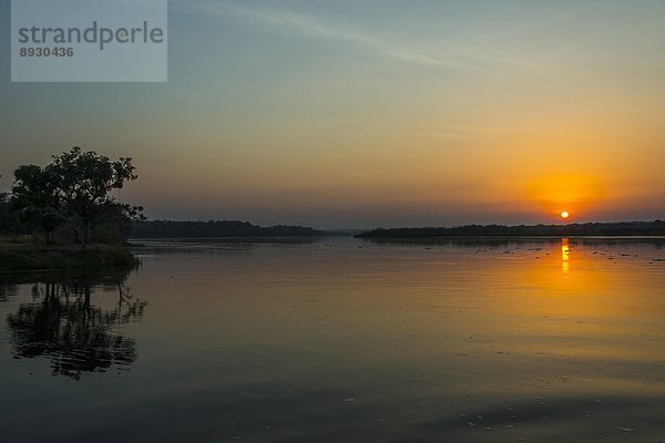 Ostafrika  fallen  fallend  fällt  über  Sonnenaufgang  Afrika  Uganda