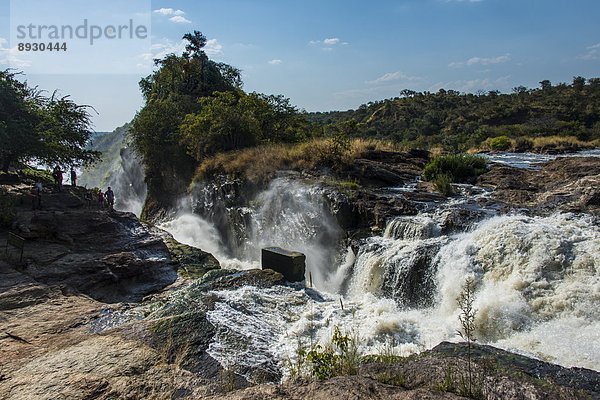 Ostafrika  fallen  fallend  fällt  Afrika  Uganda