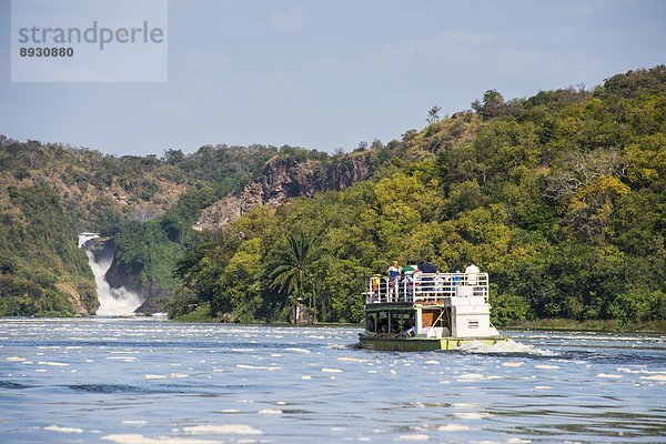 Ostafrika  fallen  fallend  fällt  Tourist  Boot  frontal  Kreuzfahrtschiff  Afrika  Uganda