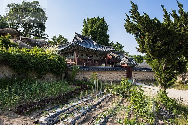 nahe Tradition Dorf Blockhaus Mensch Asien Südkorea Holzhaus