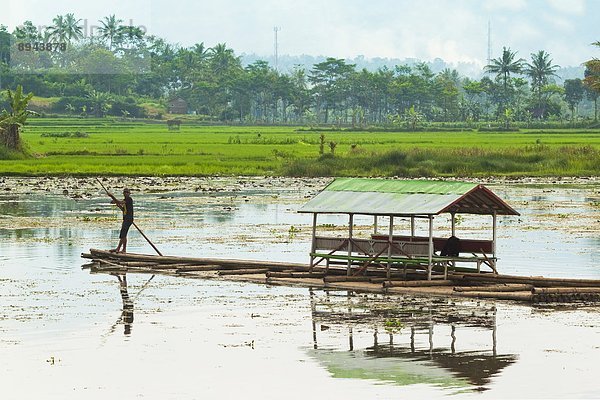 Mann  See  Dorf  Bambus  Südostasien  Asien  Indonesien  Floß